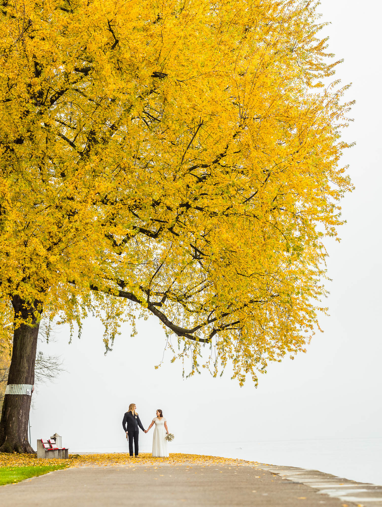 Export x3 1DX29348 Pano Hochzeit 2020 Monika & Sharru 2